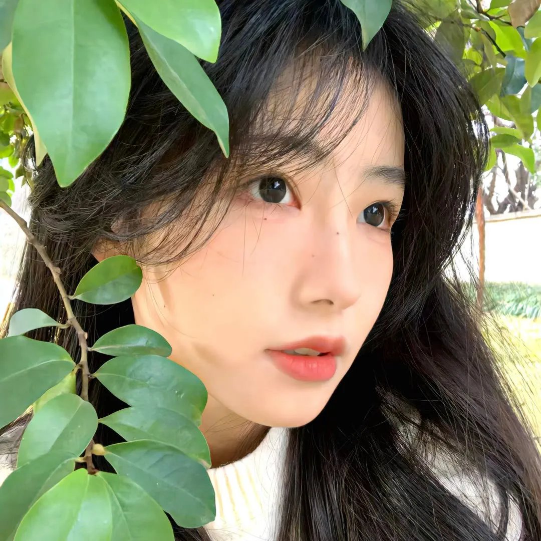我的内心国语